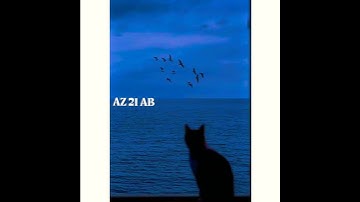 وَهُزِّي إِلَيْكِ بِجِذْعِ النَّخْلَةِ تُسَاقِطْ عَلَيْكِ رُطَبًا جَنِيًّا | سورة مريم | حاله واتس🌿