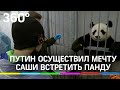 Путин, мальчик и обнимашки с пандой: президент подарил Саше встречу с медведем мечты