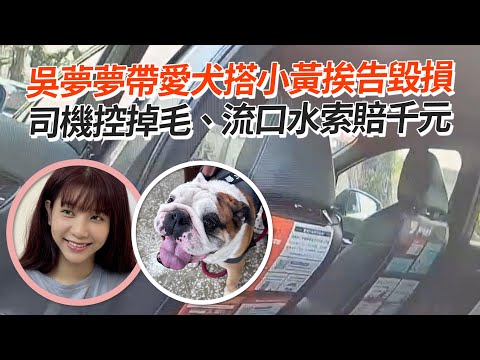 吳夢夢帶愛犬搭小黃挨告毀損 司機控掉毛、流口水索賠千元