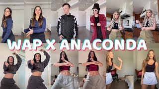 WAP vs Anaconda  TikTok Dance Challenge Compilation