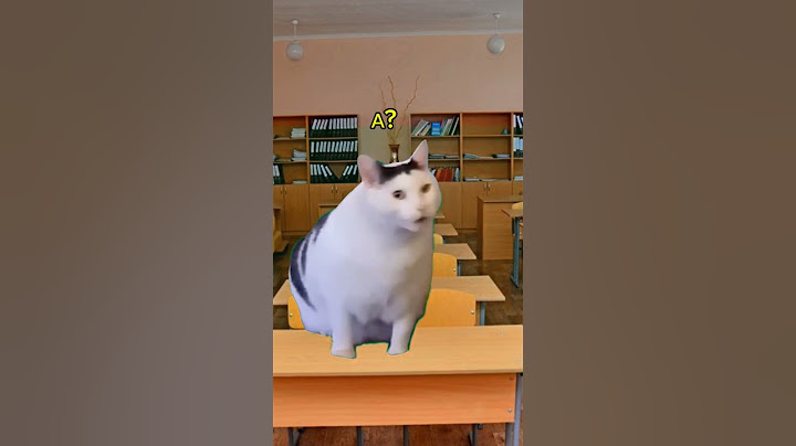 Котяра поставил на место учителя #рек #youtube #memes #cat #viralvideo