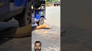 Dog is😰best🐶 and amazing dog flip #viraljump​​#dogshorts​​ #dogclothes​​ #animals