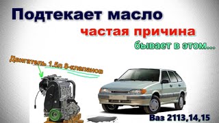 Ваз 2114(13,15) Двигатель в масле, одна из частых причин подтекания, (показываю для новичков)