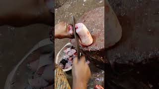 Amazing Fish Cutting Skills | Big Rohu Fish Cutting By Expert #shorts