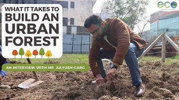 Nanak Bagichi (Miyawaki Forest): Process Explained