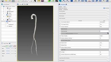 SimVascular Tutorial 10: Simulations with svSolver