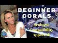 BEGINNER CORALS - Seahorse Compatibility Approved - Mindi's Coral Reef