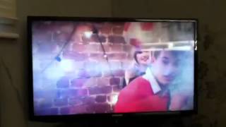 Shockwaves the shark