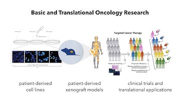 Bioinformatics for Precision Oncology 2020