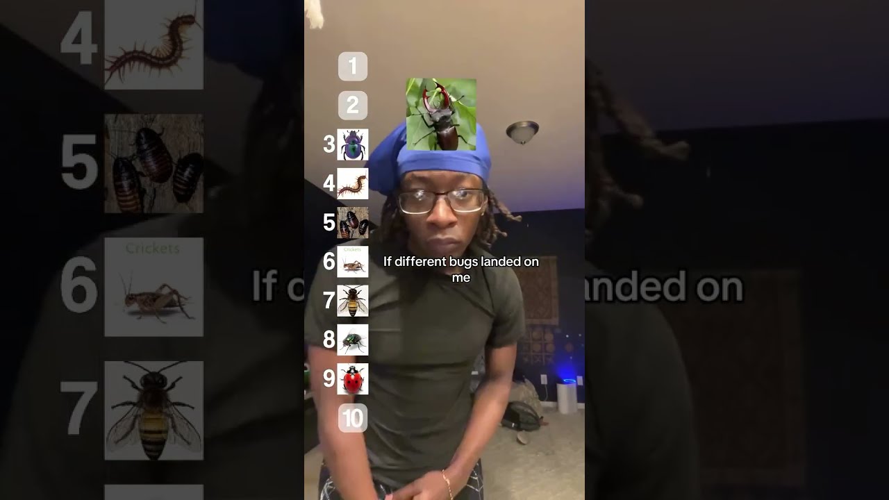 How I Would React If Bugs Landed On Me
