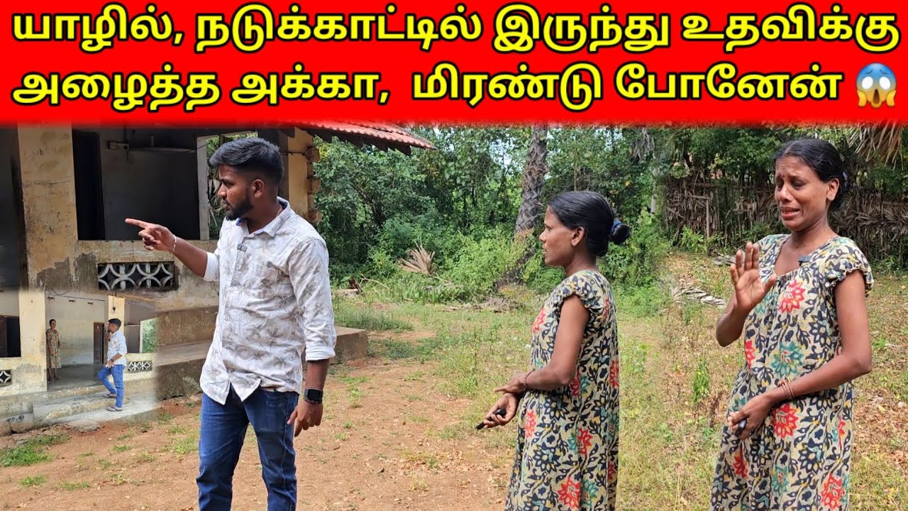 காட்டிற்குள் உள்ள வீட்டில் தனியாக வாழும் இளம் பெண் | முதன் முறை இப்படி ஒரு அனுபவம் | Tamil | SK VLOG