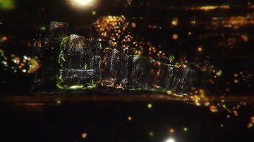 #336 INTRO FOR SHEENY V7