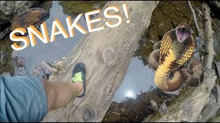 We made a trip out to the Cascades in Pembroke, VA and ran into some snakes!