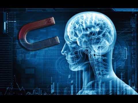 MANIFIESTA LO QUE DESEAS - EL EXPERIMENTO DE 5 MINUTOS 5 Ejemplos para Pedir al Universo lo que Deseas