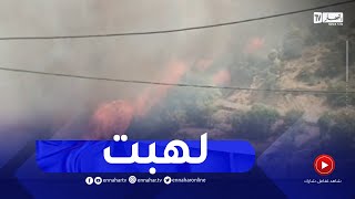 شاهد حرائق الغابات باعالي بلدية الزبربر الاخضرية بالبويرة