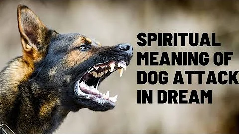 Spiritual Meaning Of Dog Attack In Dream - DayDayNews