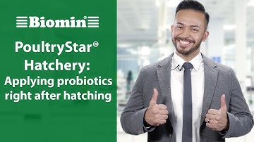 PoultryStar® Hatchery: Applying probiotics right after hatching