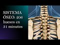 Sistema óseo y sus 206 huesos en 31 mins