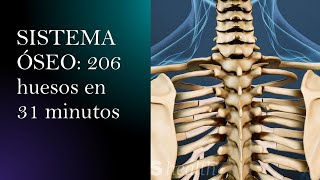 Sistema óseo y sus 206 huesos en 31 mins