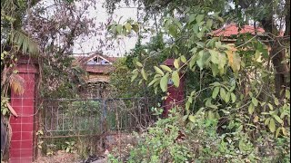 Overwhelmed with the abandoned villa, overgrown with trees, cleaned up  strangely satisfying