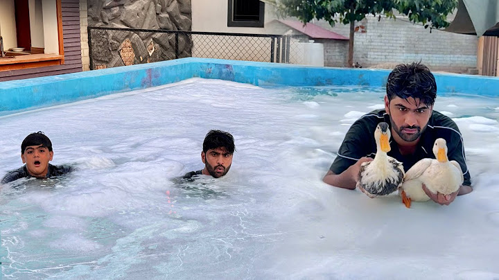 Swimming Pool Ko White Kr Diya Jhag He Jhag Hogai😍