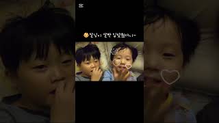 귀여움과 박력넘치는 이부자리 콘서트 #아기 #형제육아 #형제 #콘서트 #동요