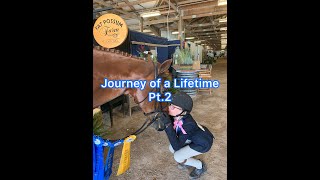 Journey of a lifetime pt.2/the horse that taught me how to ride