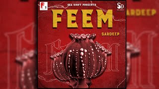 Feem | New Punjabi Song | Sardeep | Saanjh | Sea Drift