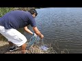 Pescador Atrapa 10 Tilapias Grandes de Laguna de un solo tarrayaso