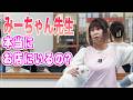 【VLog】みーちゃん先生の１日、本当にお店にいるのか！？