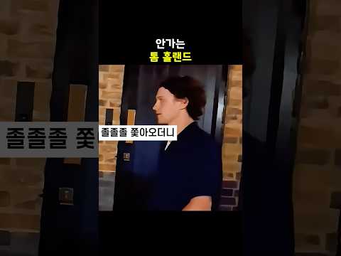 톰 홀랜드가 젠데이아랑 결혼한 이유