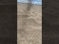 浜辺と落ちる砂2