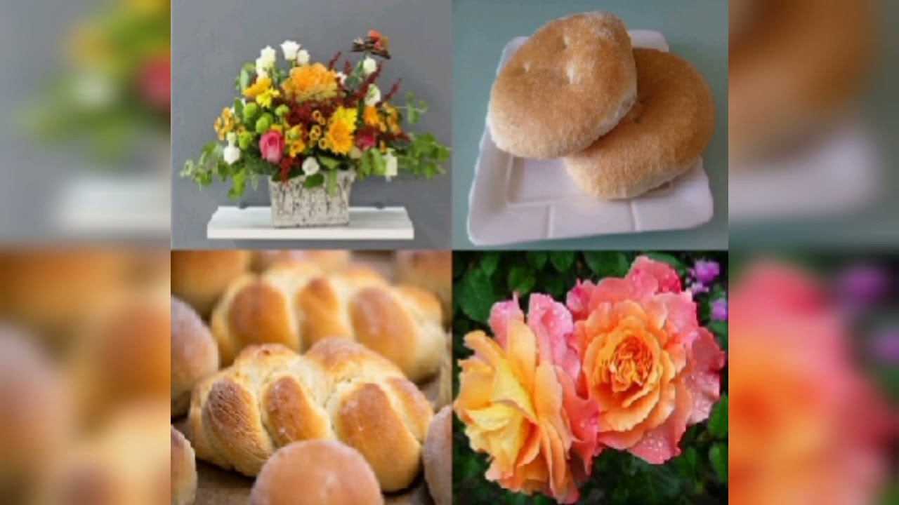 الورد يتباهى بالجمال والخبر يتباهى بأهميته