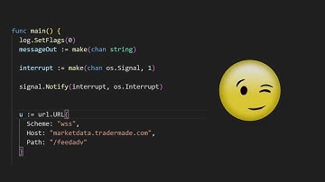 Go WebSocket Client in 4 minutes! (Detailed Explanation)