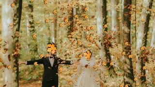 Maher Zain - MashaAllah (Vocals Only) | Wedding Nasheed