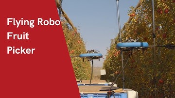Fruit Picker in the world |Flying Autonomous Robot That
