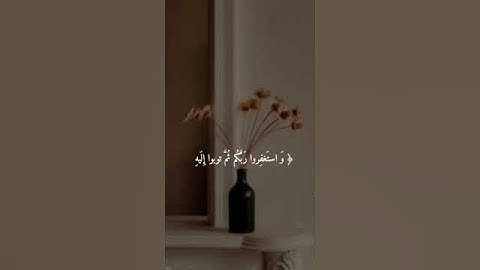 القارئ سلمان العتيبي فيديوهات قصير
