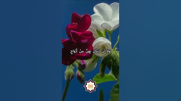 سورة الاحزاب#تلاوة_خاشعة #اكسبلور #تيك_توك #المصحف