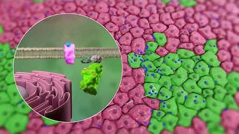 New technique without test subjects improves research into medicine and tasty & healthy nutrition