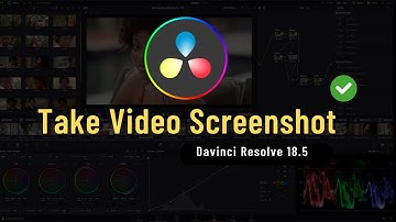 How to Take Video Screenshot in Davinci Resolve 18.5 ✅