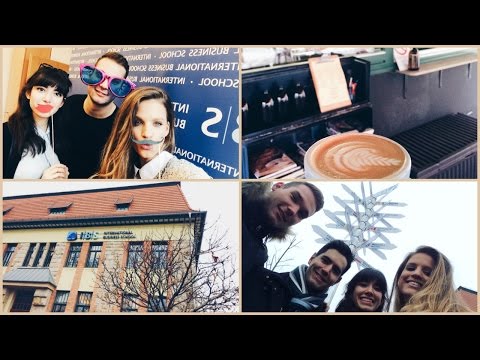 VLOG: Egy délután az IBS-nél│Karin Dragos