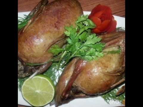 فوائد أكل الحمام 