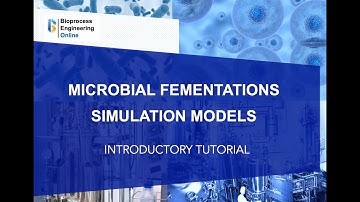 Microbial fermentations simulation models