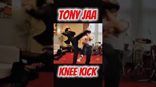 How to Tony-Jaa Knee Kick?💥 #kicktutorial #knee #muaythai #kungfu #ufc #tonyjaa