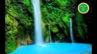 The sound of water and the sound of wild birds in nature for relaxation