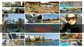 تجربتى تقييم فندق سيجال | قرية Seagull Beach Resort Hurghada / جولة فى منتجع سى جال / ريفيو 2023