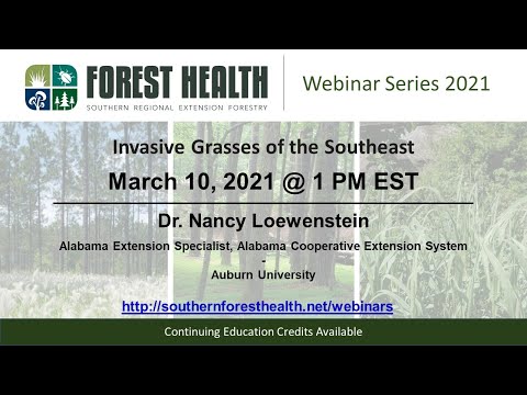 Video: Invazinės žolės – žolės, kurios gali būti invazinės