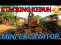 beko kecil HITACHI ZaXis 48 U stacking pohon pisang dan gali parit di samping rumah warga kebun