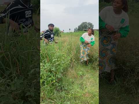 Afrohouse Amapiano Deephouse Music Housemusic Amapianotv