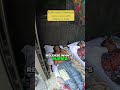 AQP3vMIMw_PsFQUMb909Wk5XQO5rBmoyWiPWTU1-RM0jFkKzth2M3N9fK9Gmcc5Qt30AFUDogm9xTHMgxfTsRcHStwamlZcNXI2M